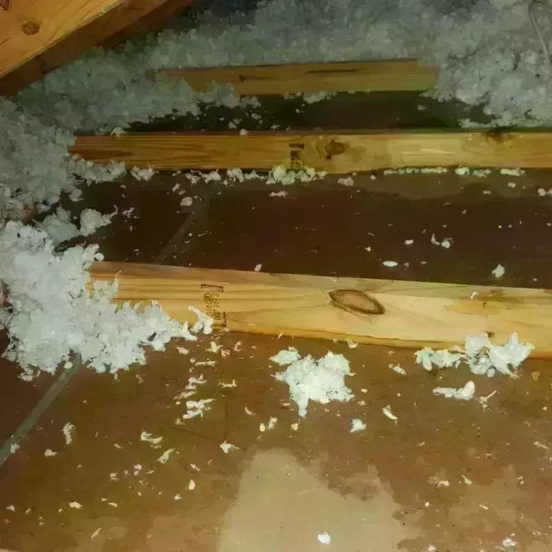 Attic Water Damage in Chisago City, MN