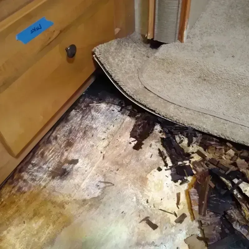 Best Wood Floor Water Damage Service in Chisago City, MN